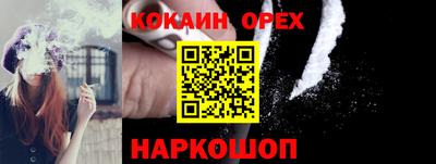 гидропоника Пенза