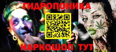 гидропоника Пенза