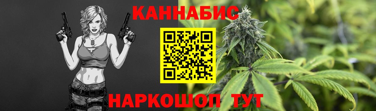 Бошки марихуана сатива Прохладный